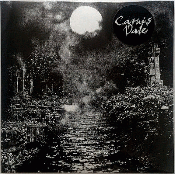 Carnis Vale : Carnis Vale